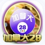 加拿大预测/准确率80 ％